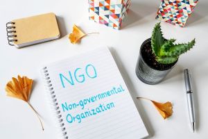 Tajemniczy trzeci sektor – jak wygląda praca w NGO?
